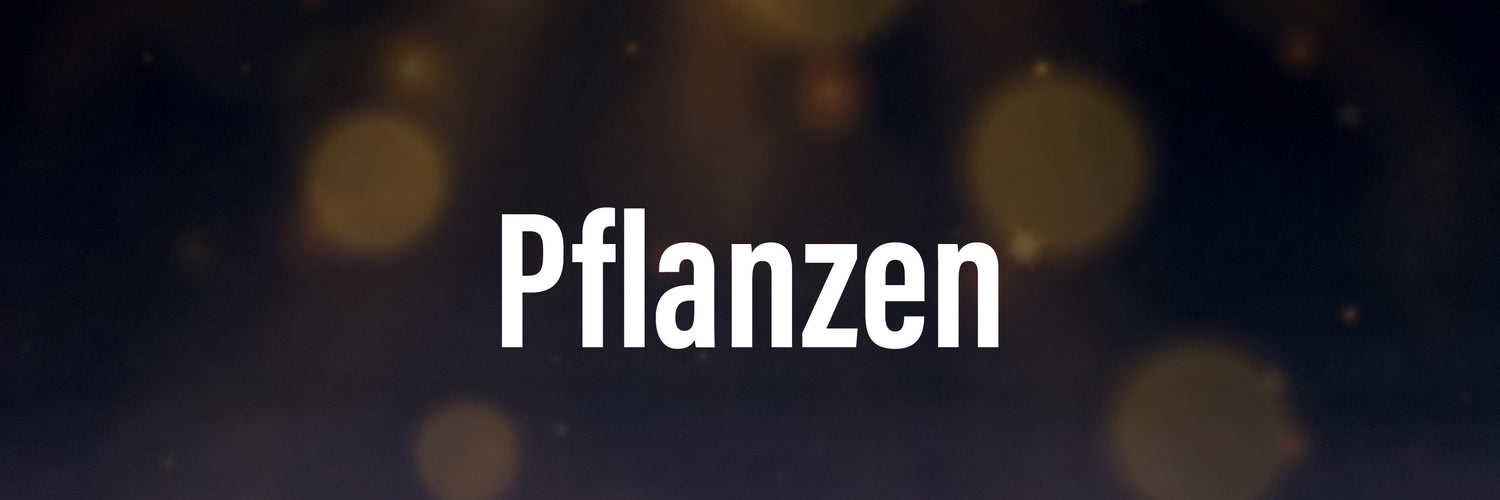 Pflanzen