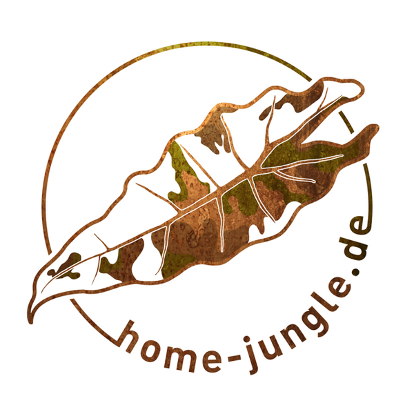 Home-Jungle
